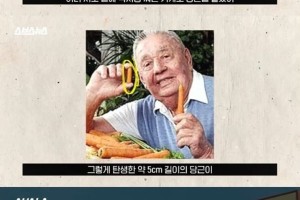 미니당근이 미국의 국민채소가 된 이야기
