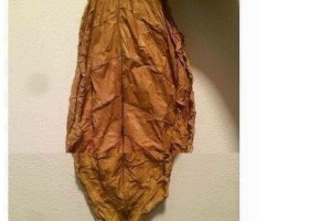 담배를 직접 키워서 피워보다